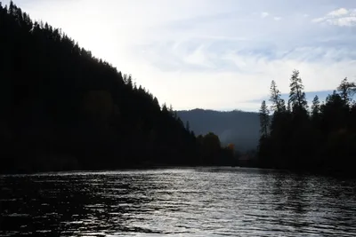 DSC_0289 (Large).JPG